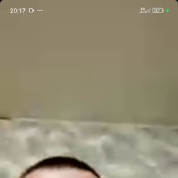 , 37, 