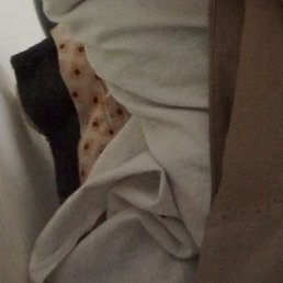 ������, �����������, 25 ���