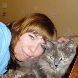 ������, 37 ���, �����������