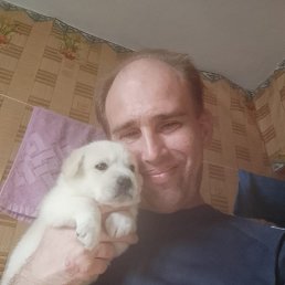 , 41, 