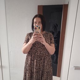 ���������, ��������, 41 ���