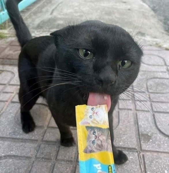 ��� ������... � ���� ����� - 4