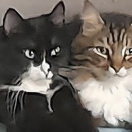 �������, ������, 39 ���