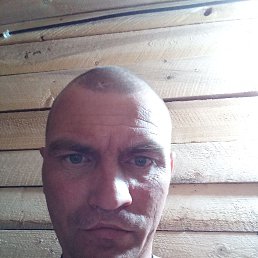 , 37, 