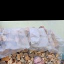 ���� ������ �������, ����, 40 ��� - ��������� 13 ������ 2025 � ������ ���� ����������