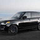 ���� Alik, ������ - ��������� 25 ������� 2024 � ������ ������ ��������