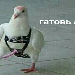 ����� ���� � ���� �������� ����, ���������, 47 ���