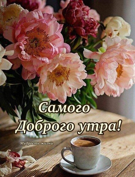 ������� ���� ����! ����� ��� , ����� ���� ������� � ����� ����� � �������� ��������: ��������������� ...