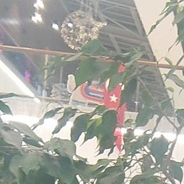 ������, �����������, 44 ����