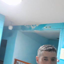 , 44, 