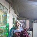 ���� ϸ��, ���������, 63 ���� - ��������� 16 ������� 2023 � ������ ���� ����������