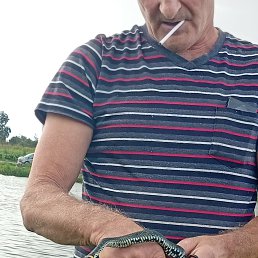 ���� �����, ������, 55 ��� - ��������� 7 ������ 2025