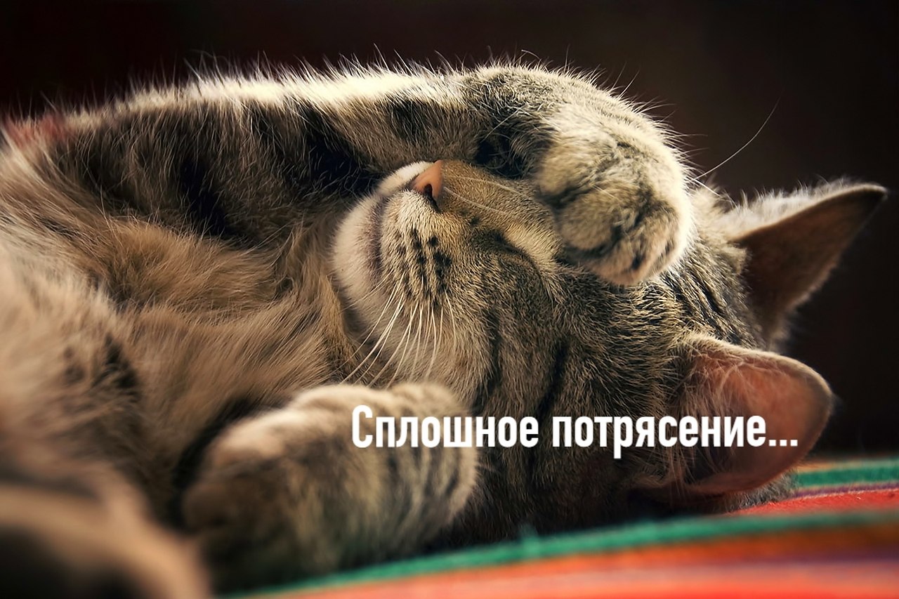       - 30  2025  21:49 - 2