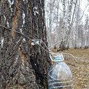 ���� �������, ���������, 50 ��� - ��������� 15 ������ 2024 � ������ ������ ��������