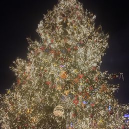 �����, ������, 51 ���