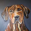  , -, 41  -  28  2025