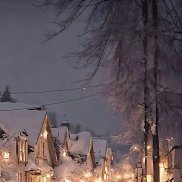 ����, 41 ���, ����