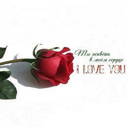 �����, �������