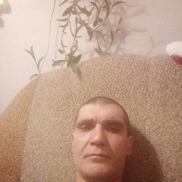 , 44, 