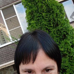 �����, ���������, 49 ���