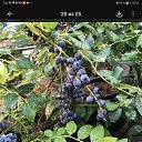 ���� �������, ������������, 49 ��� - ��������� 16 ���� 2026 � ������ ���� ����������