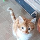 ���� �������, ��������, 44 ���� - ��������� 12 ����� 2024 � ������ ���� ����������