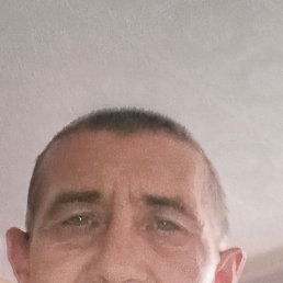 , 53 ,  