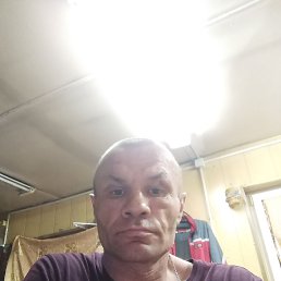 , 43, 
