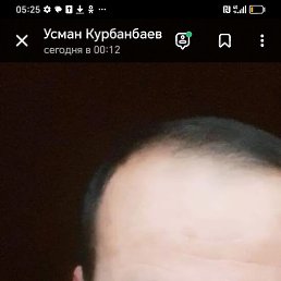 ���, �����, 40 ���