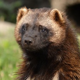 ���� ����, �����-���������, 73 ���� - ��������� 4 ������� 2025