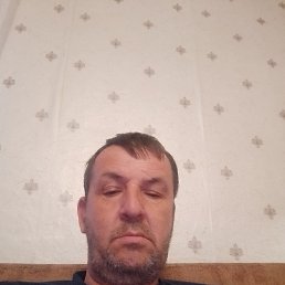 ����, 56 ���, ����