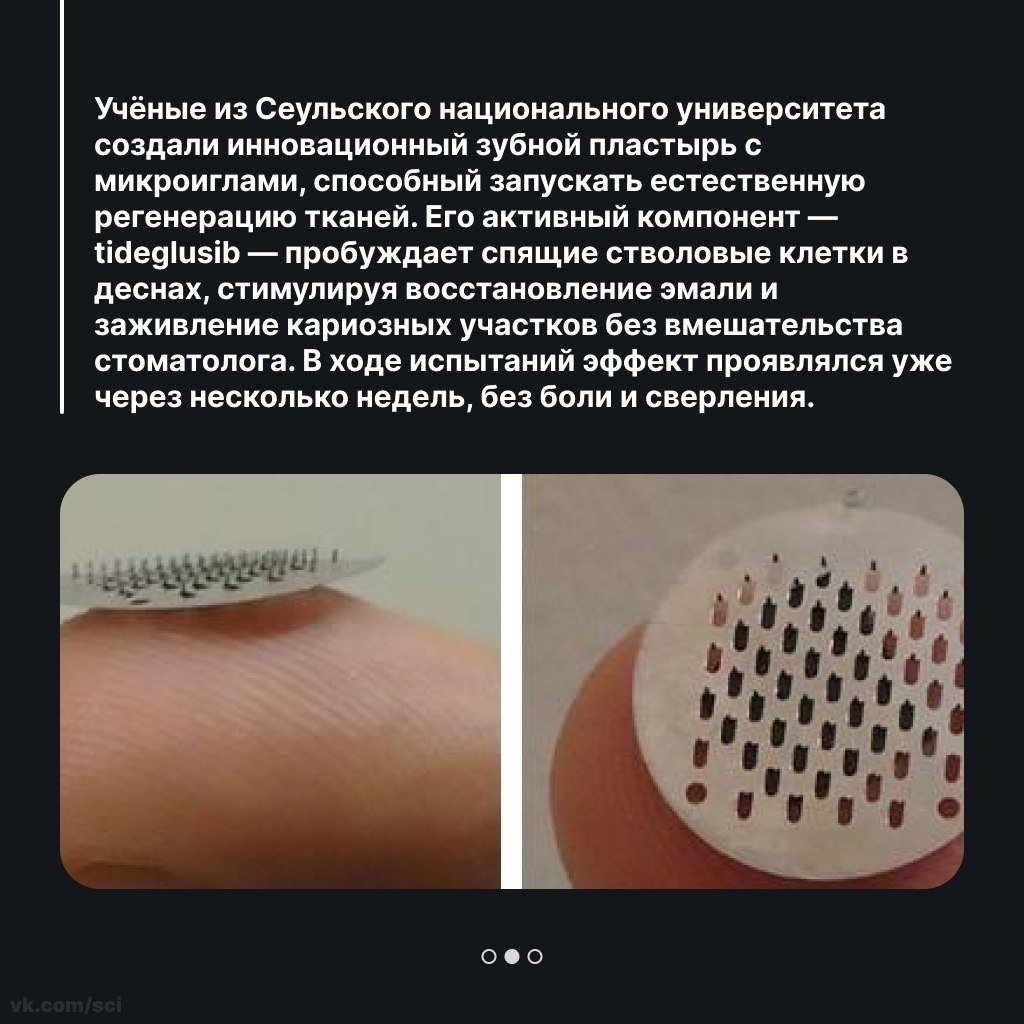 ����������� | ������ | ����� �� 5 - 7 ������ 2026 � 05:26 - 2