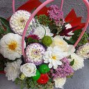 ���� ����������, ����������, 51 ��� - ��������� 2 �������� 2025 � ������ ���� ����������