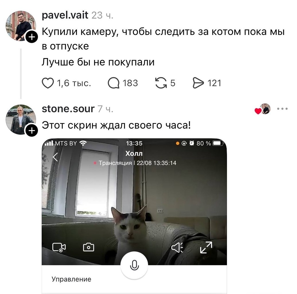 JPG - 16 ����� 2026 � 13:44 - 2