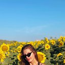 ���� ����, ���, 27 ��� - ��������� 2 ������ 2026