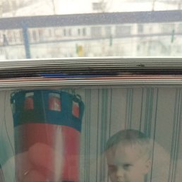 ����, ������, 41 ���