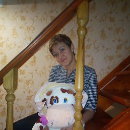 ������, ���, 55 ���