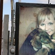 ����, 52 ����, �����������