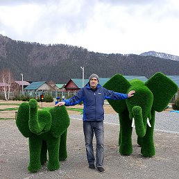 , 39, 