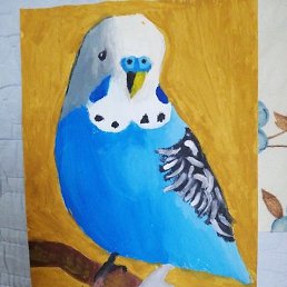 Reke, ��������, 63 ����