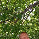 ���� ����, ���������, 51 ��� - ��������� 8 ������ 2026