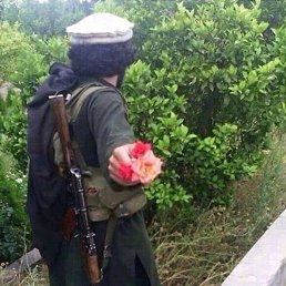 ���� Axmed, ������, 28 ��� - ��������� 6 ������� 2024