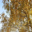 ���� ���������, ������, 60 ��� - ��������� 7 ������ 2023 � ������ ������ ��������