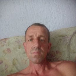 ���� ����, ������, 46 ��� - ��������� 14 ���� 2026