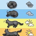  Xsander Kot, , 43  -  24  2025    