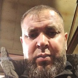 ����, ���������, 43 ����