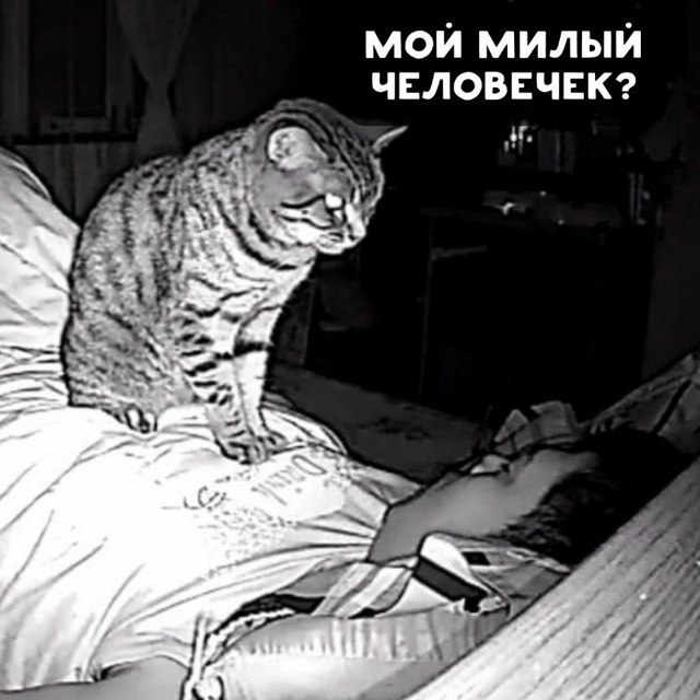 ������. - 8 ������� 2025 � 17:38 - 2