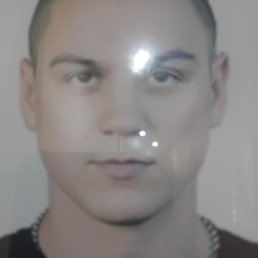 ����, �����-���������, 42 ����