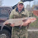 ���� ����, ������, 51 ��� - ��������� 19 ���� 2025 � ������ ���� ����������