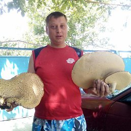 ���� Anatolii, �������, 34 ���� - ��������� 9 ��� 2026